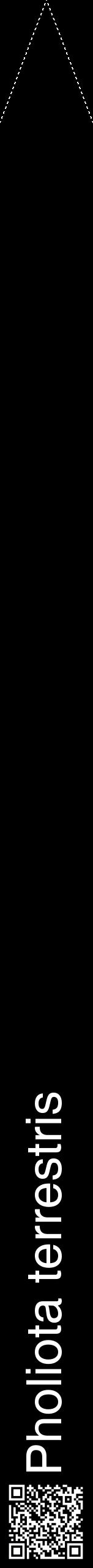 Étiquette de : Pholiota terrestris - format b - style blanche59hel avec qrcode et comestibilité
