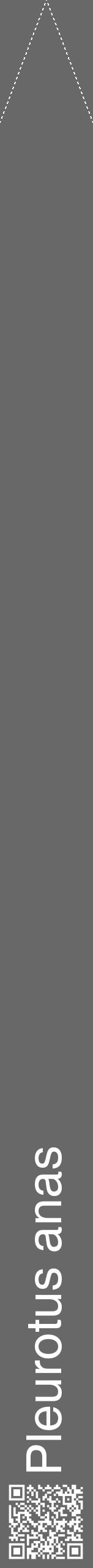 Étiquette de : Pleurotus anas - format b - style blanche43hel avec qrcode et comestibilité - position verticale