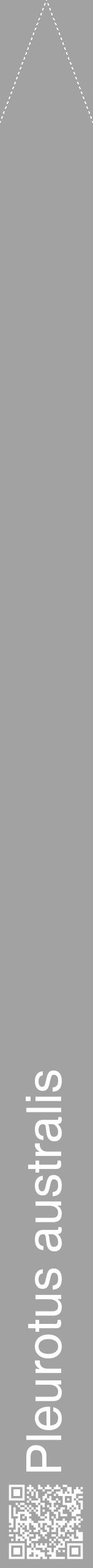 Étiquette de : Pleurotus australis - format b - style blanche38hel avec qrcode et comestibilité - position verticale