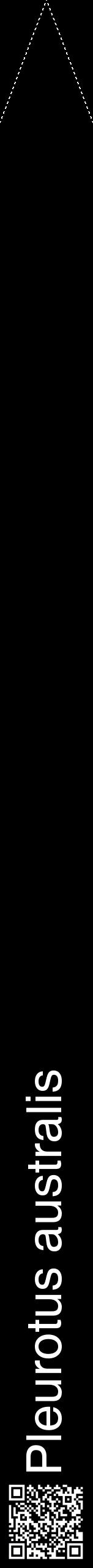 Étiquette de : Pleurotus australis - format b - style blanche59hel avec qrcode et comestibilité