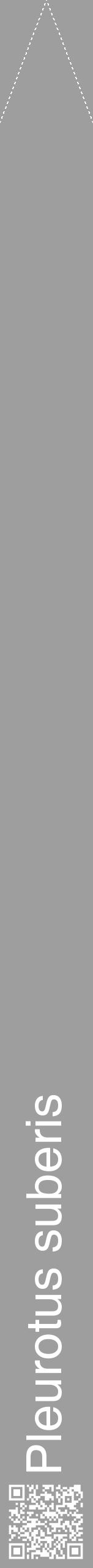 Étiquette de : Pleurotus suberis - format b - style blanche23hel avec qrcode et comestibilité - position verticale