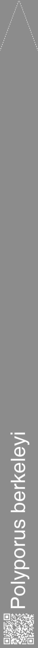 Étiquette de : Polyporus berkeleyi - format b - style blanche2hel avec qrcode et comestibilité - position verticale