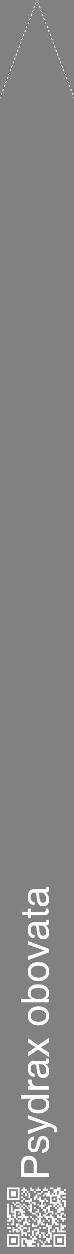 Étiquette de : Psydrax obovata - format b - style blanche50hel avec qrcode et comestibilité - position verticale