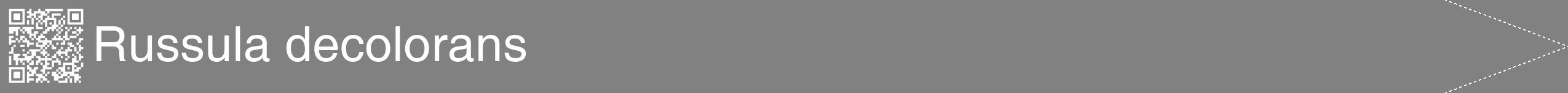 Étiquette de : Russula decolorans - format b - style blanche50simplehel avec qrcode et comestibilité