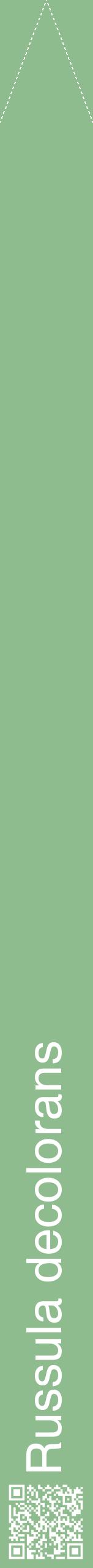 Étiquette de : Russula decolorans - format b - style blanche13hel avec qrcode et comestibilité
