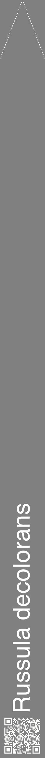 Étiquette de : Russula decolorans - format b - style blanche57hel avec qrcode et comestibilité