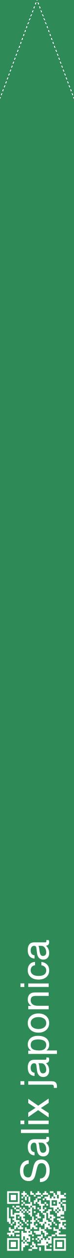 Étiquette de : Salix japonica - format b - style blanche11hel avec qrcode et comestibilité