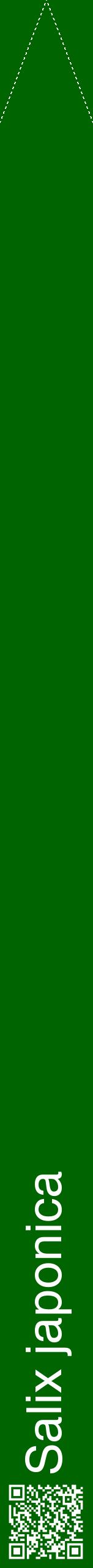 Étiquette de : Salix japonica - format b - style blanche8hel avec qrcode et comestibilité
