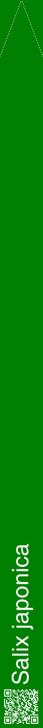 Étiquette de : Salix japonica - format b - style blanche9hel avec qrcode et comestibilité