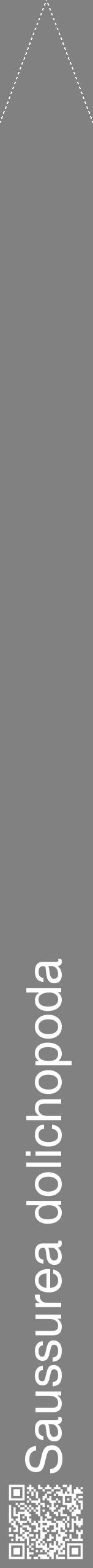 Étiquette de : Saussurea dolichopoda - format b - style blanche50hel avec qrcode et comestibilité - position verticale