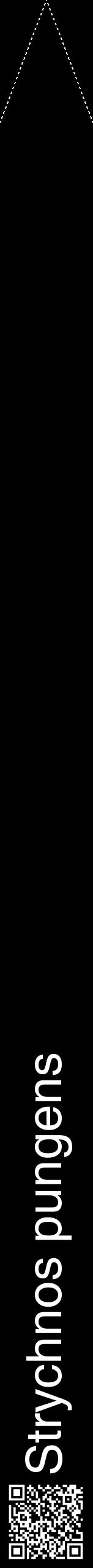 Étiquette de : Strychnos pungens - format b - style blanche59hel avec qrcode et comestibilité