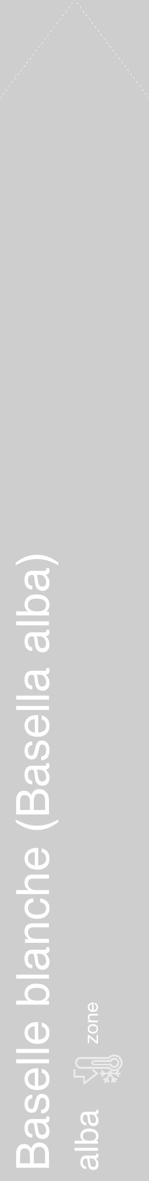 Étiquette de : Basella alba alba - format c - style blanche17_simple_simplehel avec comestibilité - position verticale
