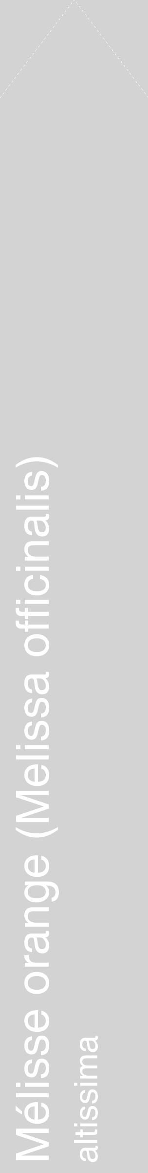 Étiquette de : Melissa officinalis altissima - format c - style blanche56_simple_simplehel avec comestibilité - position verticale