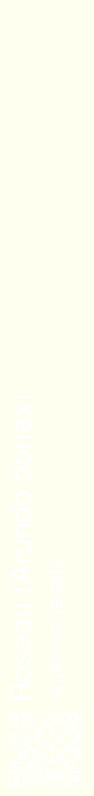 Étiquette de : Arundo donax aureovariegata - format c - style blanche19_simplehel avec qrcode et comestibilité