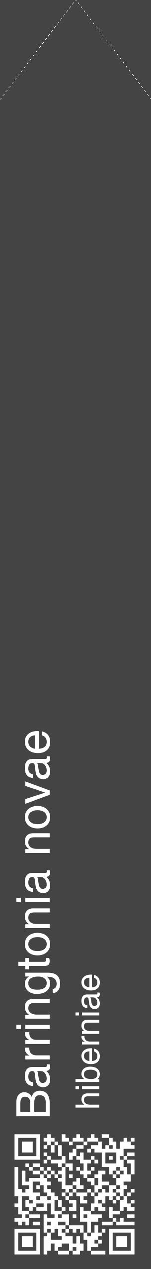 Étiquette de : Barringtonia novae hiberniae - format c - style blanche48_simple_simplehel avec qrcode et comestibilité - position verticale