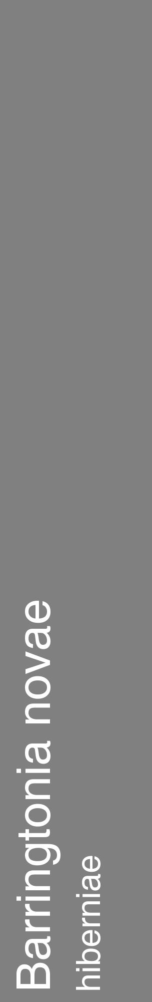 Étiquette de : Barringtonia novae hiberniae - format c - style blanche57_basiquehel avec comestibilité