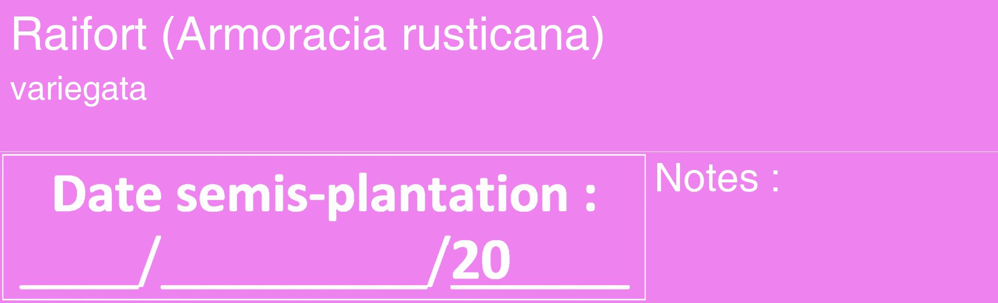 Étiquette de : Armoracia rusticana variegata - format c - style blanche53_basique_basiquehel avec comestibilité