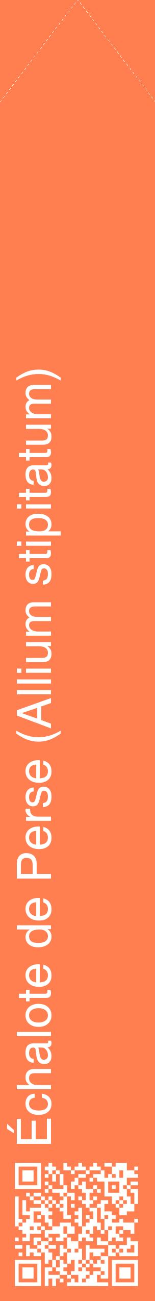 Étiquette de : Allium stipitatum - format c - style blanche24_simplehel avec qrcode et comestibilité