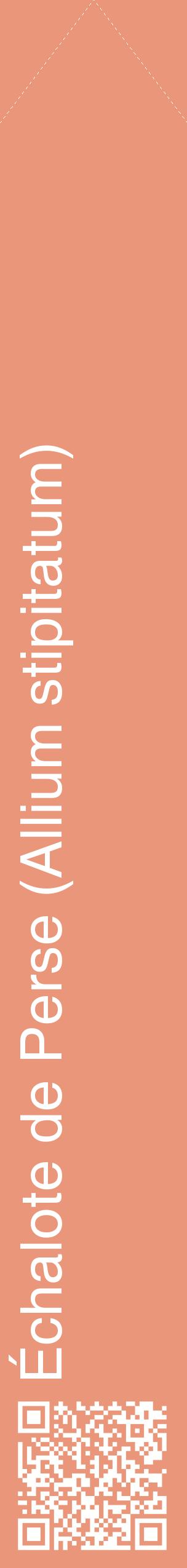 Étiquette de : Allium stipitatum - format c - style blanche37_simplehel avec qrcode et comestibilité