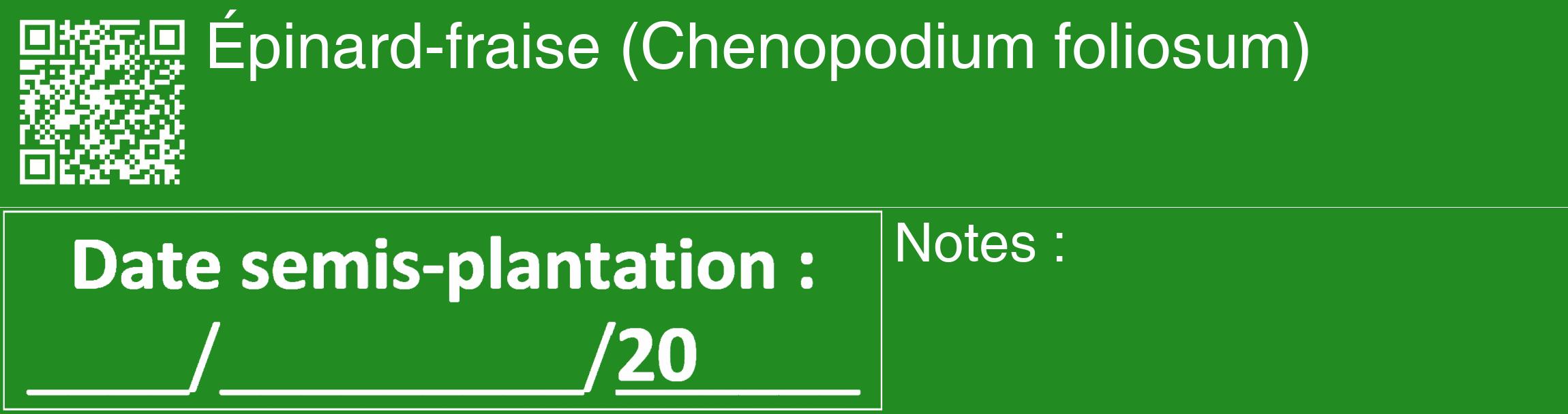 Étiquette de : Chenopodium foliosum - format c - style blanche10_basique_basiquehel avec qrcode et comestibilité