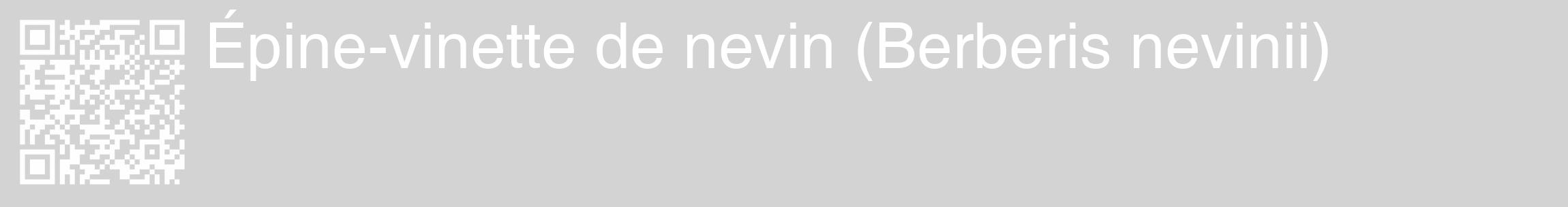 Étiquette de : Berberis nevinii - format c - style blanche56_basique_basiquehel avec qrcode et comestibilité