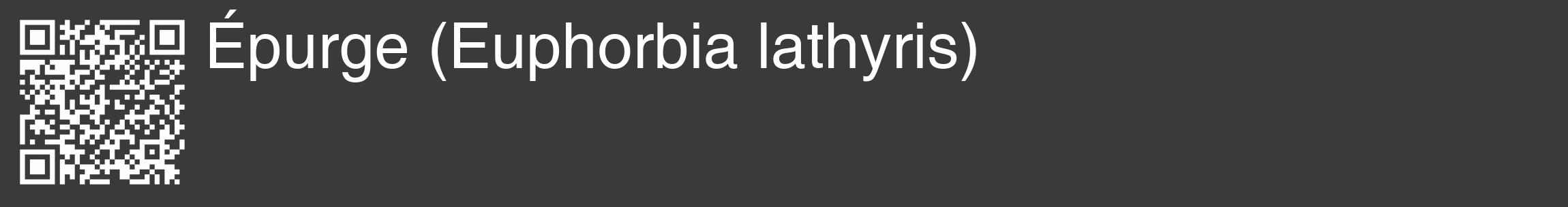 Étiquette de : Euphorbia lathyris - format c - style blanche8_basique_basiquehel avec qrcode et comestibilité