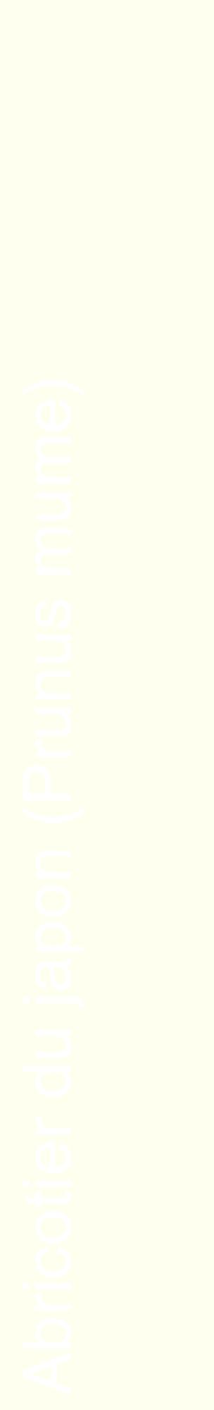 Étiquette de : Prunus mume - format c - style blanche19_basiquehel avec comestibilité