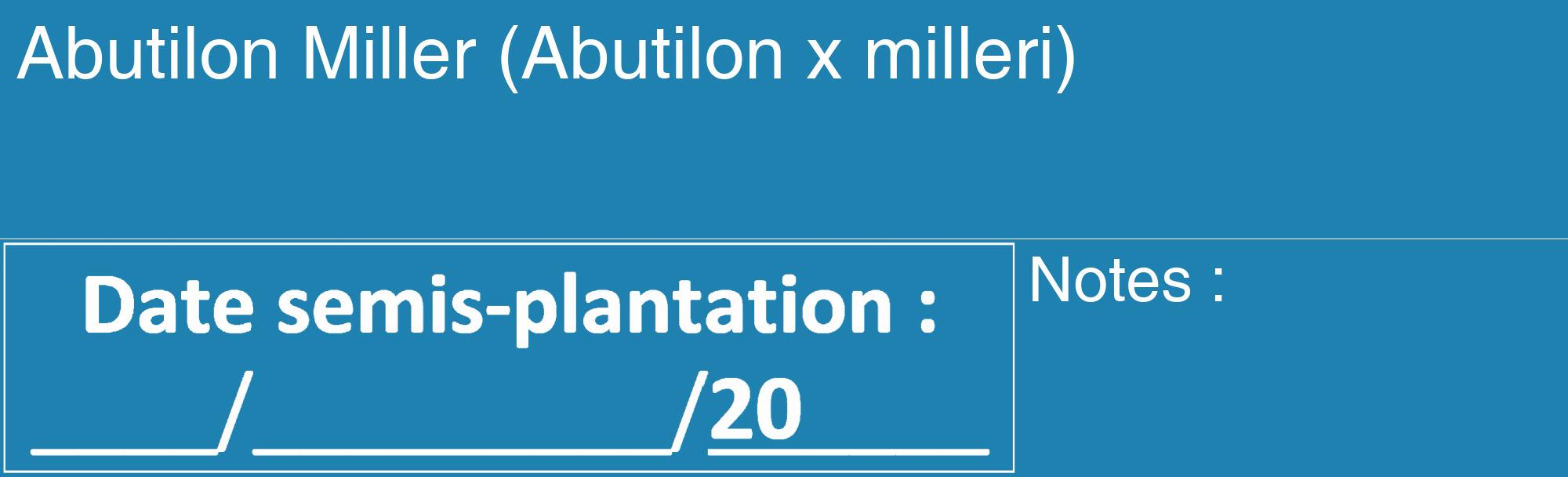 Étiquette de : Abutilon x milleri - format c - style blanche6_basique_basiquehel avec comestibilité