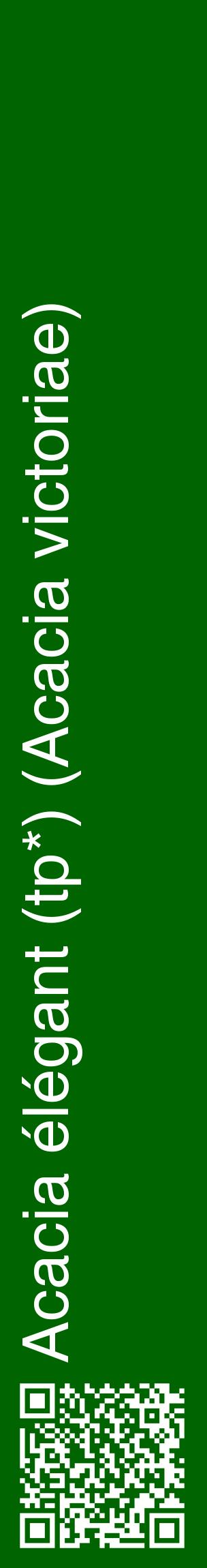 Étiquette de : Acacia victoriae - format c - style blanche8_basiquehel avec qrcode et comestibilité