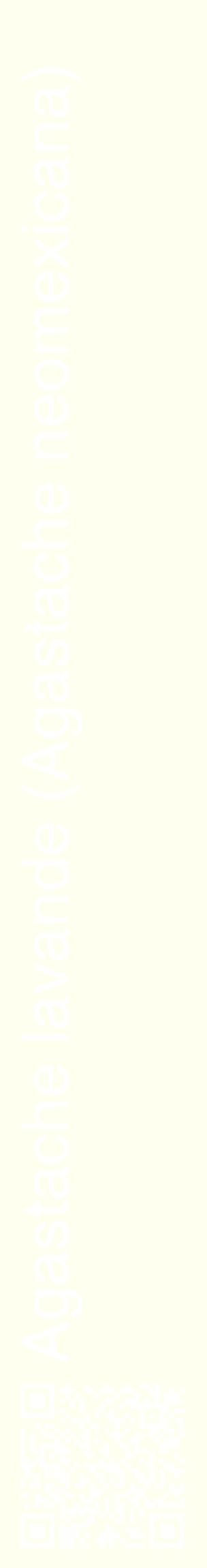 Étiquette de : Agastache neomexicana - format c - style blanche19_basiquehel avec qrcode et comestibilité
