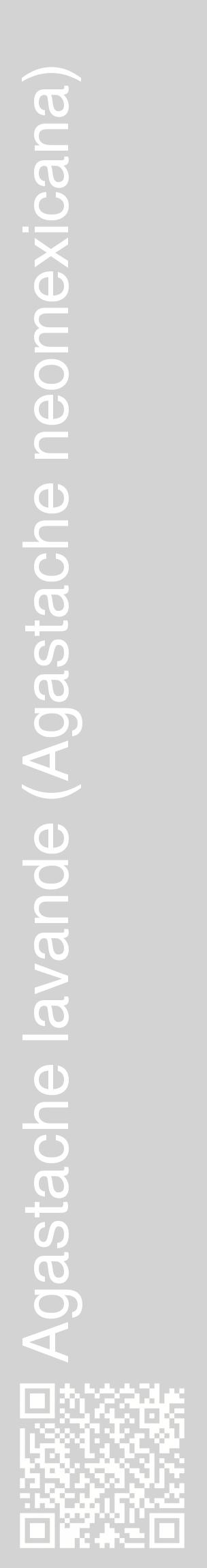 Étiquette de : Agastache neomexicana - format c - style blanche56_basiquehel avec qrcode et comestibilité