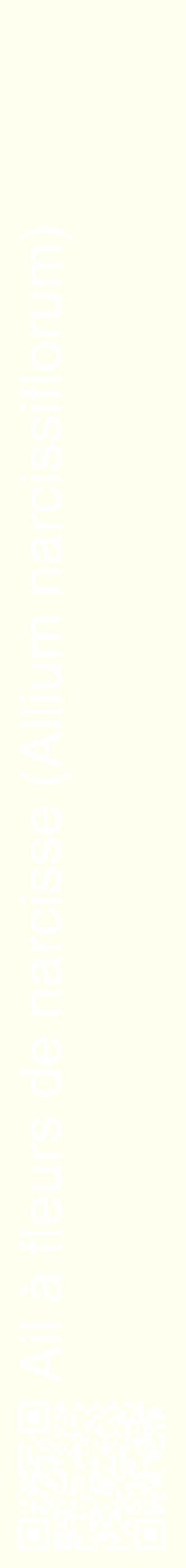 Étiquette de : Allium narcissiflorum - format c - style blanche19_simplehel avec qrcode et comestibilité