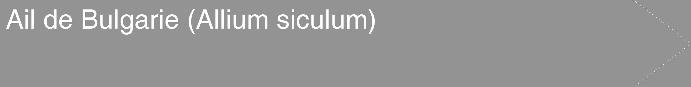 Étiquette de : Allium siculum - format c - style blanche44_simple_simplehel avec comestibilité