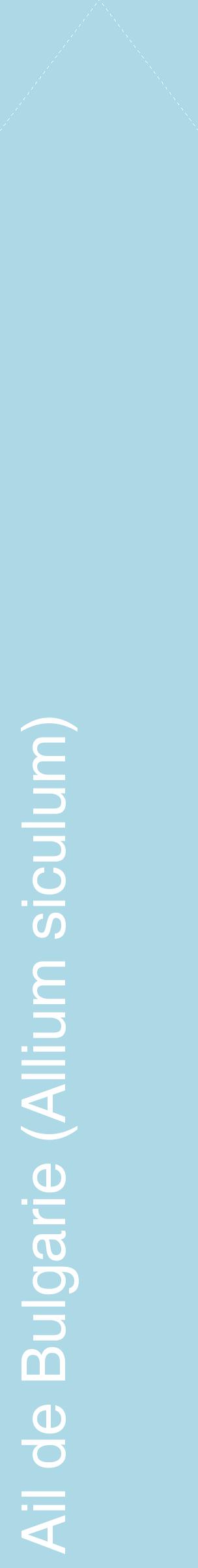 Étiquette de : Allium siculum - format c - style blanche0_simplehel avec comestibilité