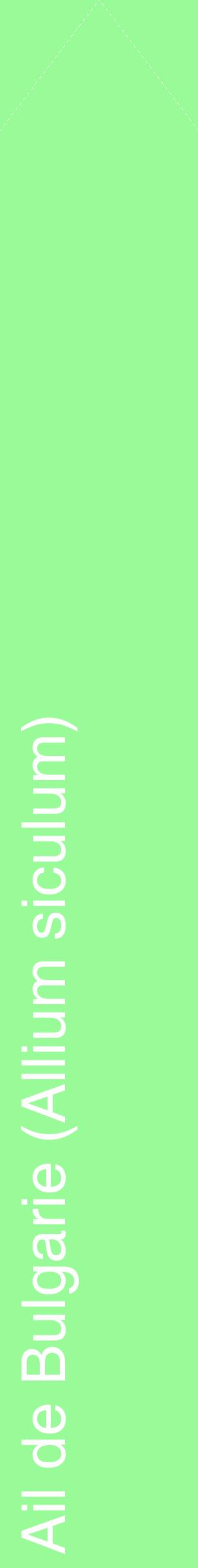 Étiquette de : Allium siculum - format c - style blanche14_simplehel avec comestibilité