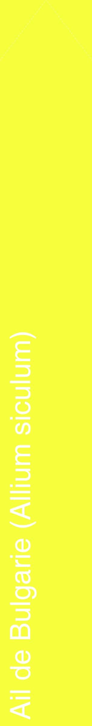 Étiquette de : Allium siculum - format c - style blanche18_simplehel avec comestibilité