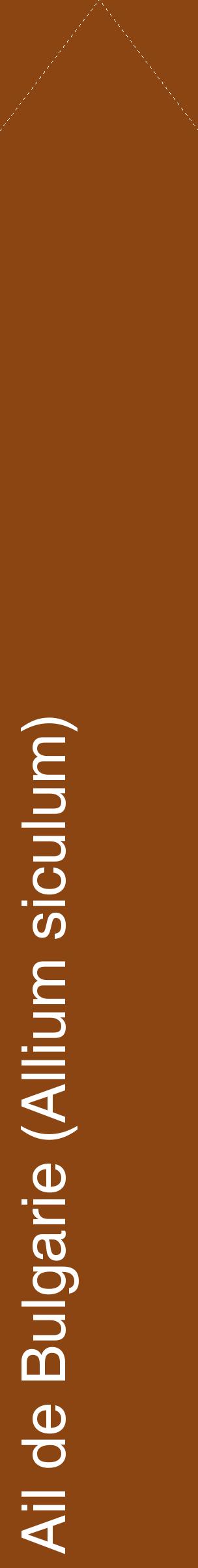Étiquette de : Allium siculum - format c - style blanche30_simplehel avec comestibilité