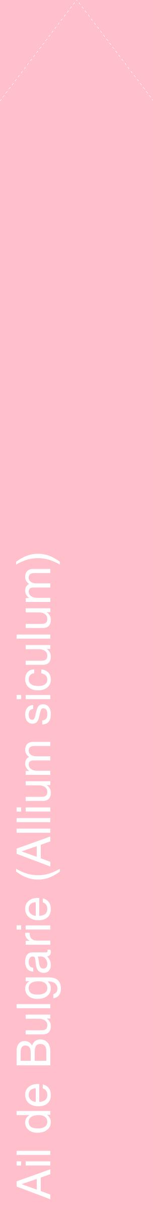 Étiquette de : Allium siculum - format c - style blanche40_simplehel avec comestibilité