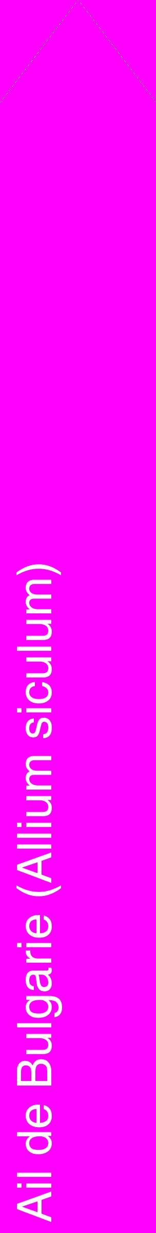 Étiquette de : Allium siculum - format c - style blanche51_simplehel avec comestibilité