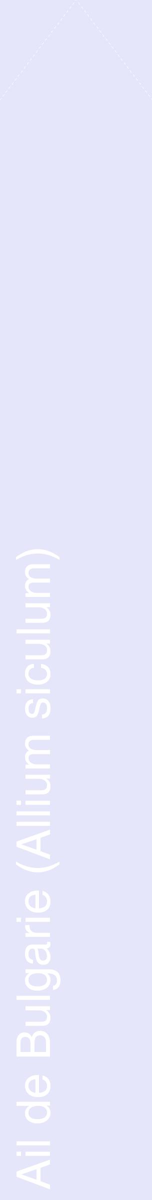 Étiquette de : Allium siculum - format c - style blanche55_simplehel avec comestibilité