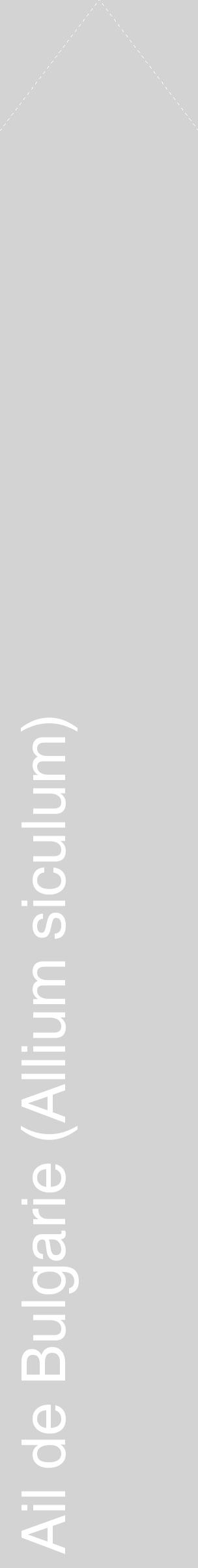 Étiquette de : Allium siculum - format c - style blanche56_simplehel avec comestibilité