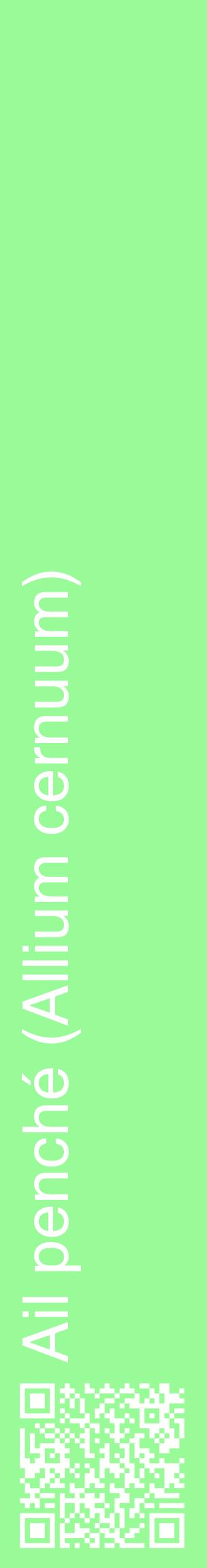 Étiquette de : Allium cernuum - format c - style blanche14_basiquehel avec qrcode et comestibilité