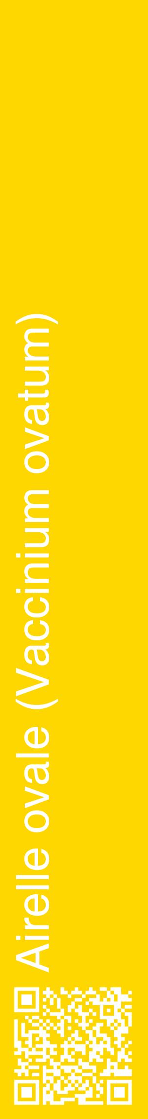 Étiquette de : Vaccinium ovatum - format c - style blanche21_basiquehel avec qrcode et comestibilité