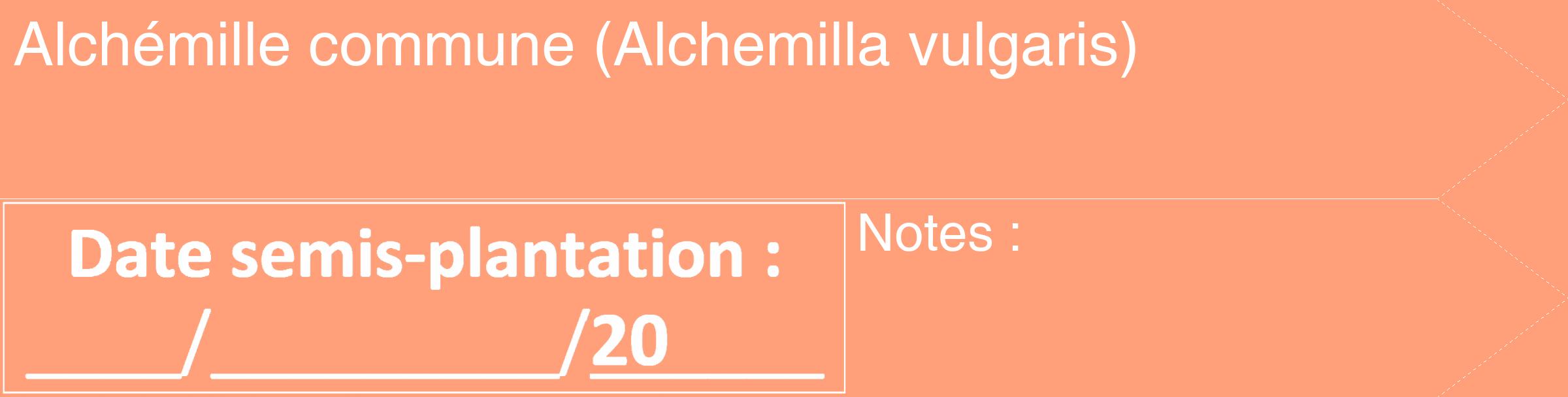 Étiquette de : Alchemilla vulgaris - format c - style blanche39_simple_simplehel avec comestibilité