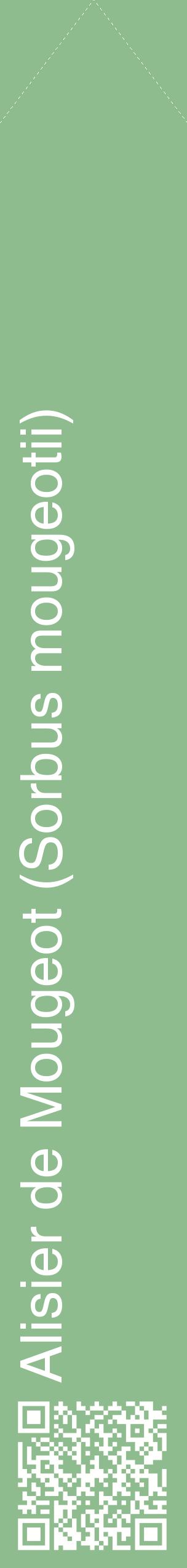 Étiquette de : Sorbus mougeotii - format c - style blanche13_simplehel avec qrcode et comestibilité