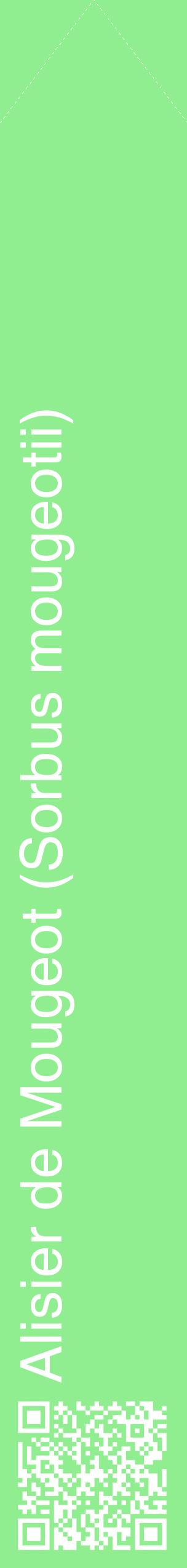 Étiquette de : Sorbus mougeotii - format c - style blanche15_simplehel avec qrcode et comestibilité