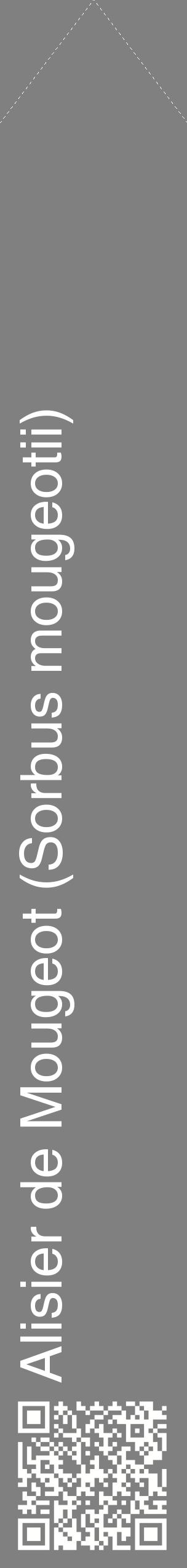 Étiquette de : Sorbus mougeotii - format c - style blanche57_simplehel avec qrcode et comestibilité