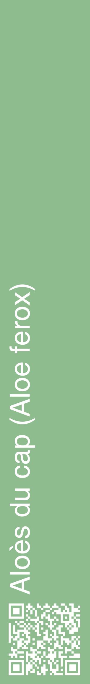 Étiquette de : Aloe ferox - format c - style blanche13_basiquehel avec qrcode et comestibilité