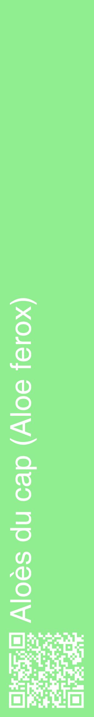 Étiquette de : Aloe ferox - format c - style blanche15_basiquehel avec qrcode et comestibilité