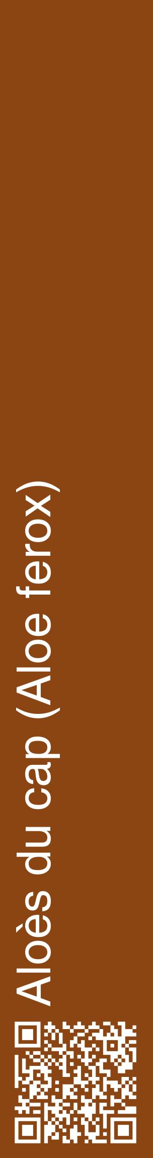 Étiquette de : Aloe ferox - format c - style blanche30_basiquehel avec qrcode et comestibilité
